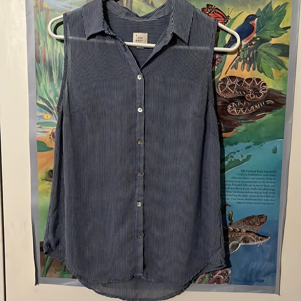 Womens Collared Sheer Sleeveless Button Up Blouse